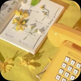 Simple Photo Widget ideas[rAa87P6s4zU2D64eXImM]