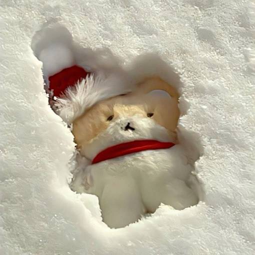 Christmas Photo Widget ideas[MRcLC6ZbJzfHUyExXI0I]