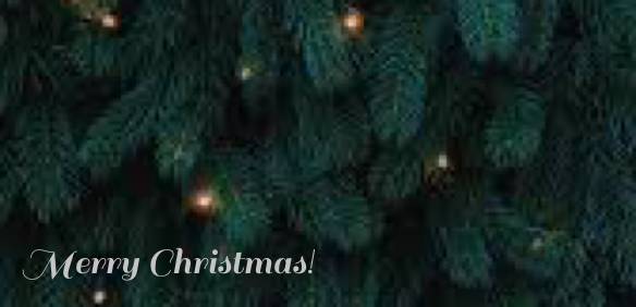 have a holly jolly Christmas! Memo Widget ideas[svL50IBcegbEmkRJzX58]