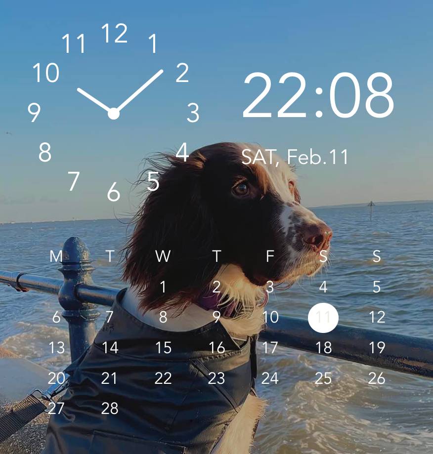 dog main time and date นาฬิกา แนวคิดวิดเจ็ต[kp2fK0TjBofgogKIiOVJ]
