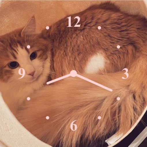 🐶♥️ Reloj Ideas de widgets[9LPoITL3EIeckqUJGFpD]