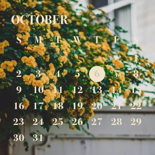 🌼 Calendar Widget ideas[mPOSt5Btrs0UH5gyvTWh]