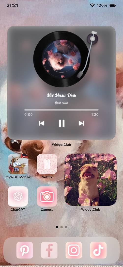 chihuahua themed wallpaper Home Screen ideas[xxfAKmSWdea4y36omERs]