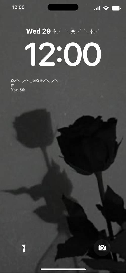 バラصفحه قفل[OicQmfpFZPvtkoRHs30g]