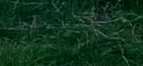 រូបថត គំនិតធាតុក្រាហ្វិក[templates_VGdus2I3q3hCAUivxKvE_79402BCD-FBDA-4D32-854E-5E11BC0D0ABD]