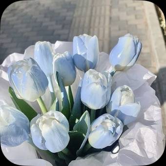 Photo Widget ideas[C7SAM3v3YzJykdGKGdr8]