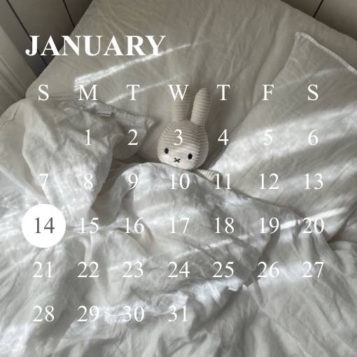 Kalender Vidinaideed[YMpnKA4fPppcmwDWyDdC]