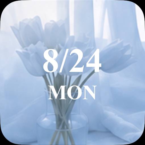 Date Widget ideas[3pVUg7J0ab4EesB0Umcs]