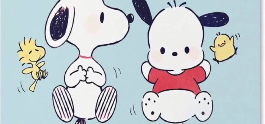 Photo Widget ideas[FCXpLl5h4P1Yhuskwwet]