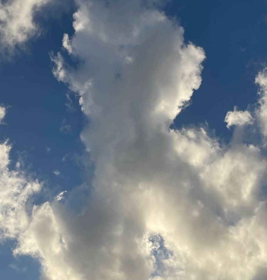 Light Blue Aesthetic - Clouds 照片 小部件的想法[rfcwjxfmHe2Tu61JRiOE]