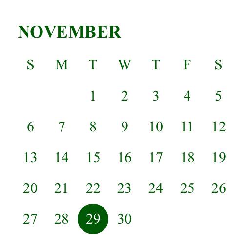 green Kalendar Idea widget[aHjb7ISp2na7jVySIJpT]