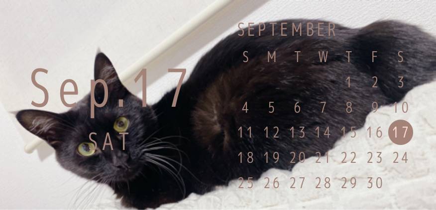 Calendar Idei de widgeturi[IClDtJmxen09d3UFRl8z]