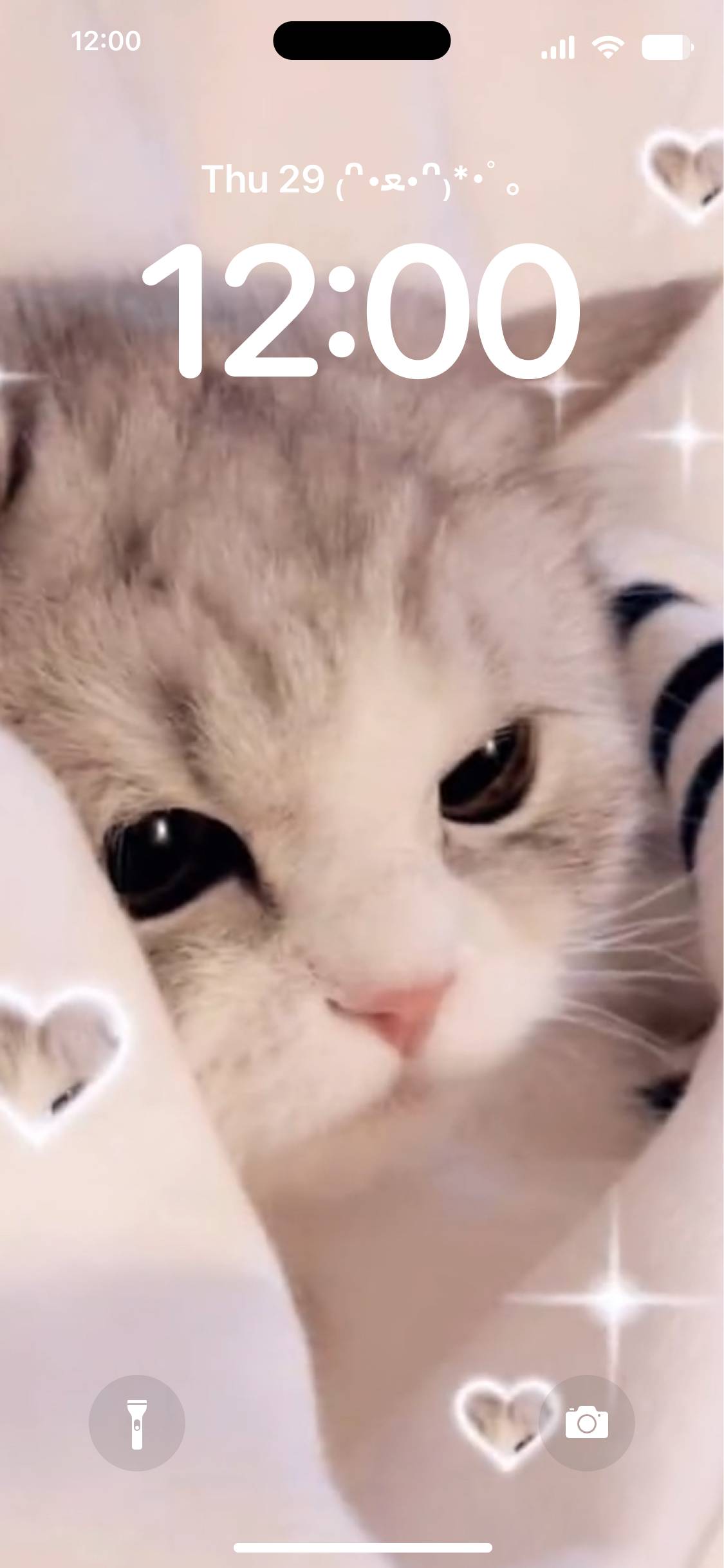 ねこ。ฅ^•ω•^ฅ Заключен екран[RfTjyzKYxixpgsShSOnP]