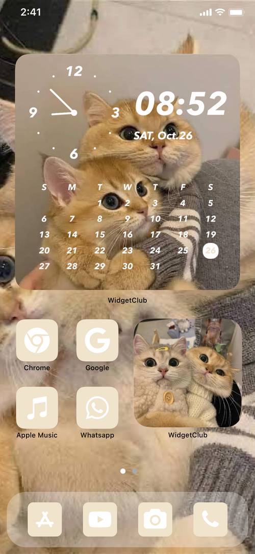 Cat Theme แนวคิดหน้าจอหลัก[5sW4MfFDSZn0CXEQ1oqn]