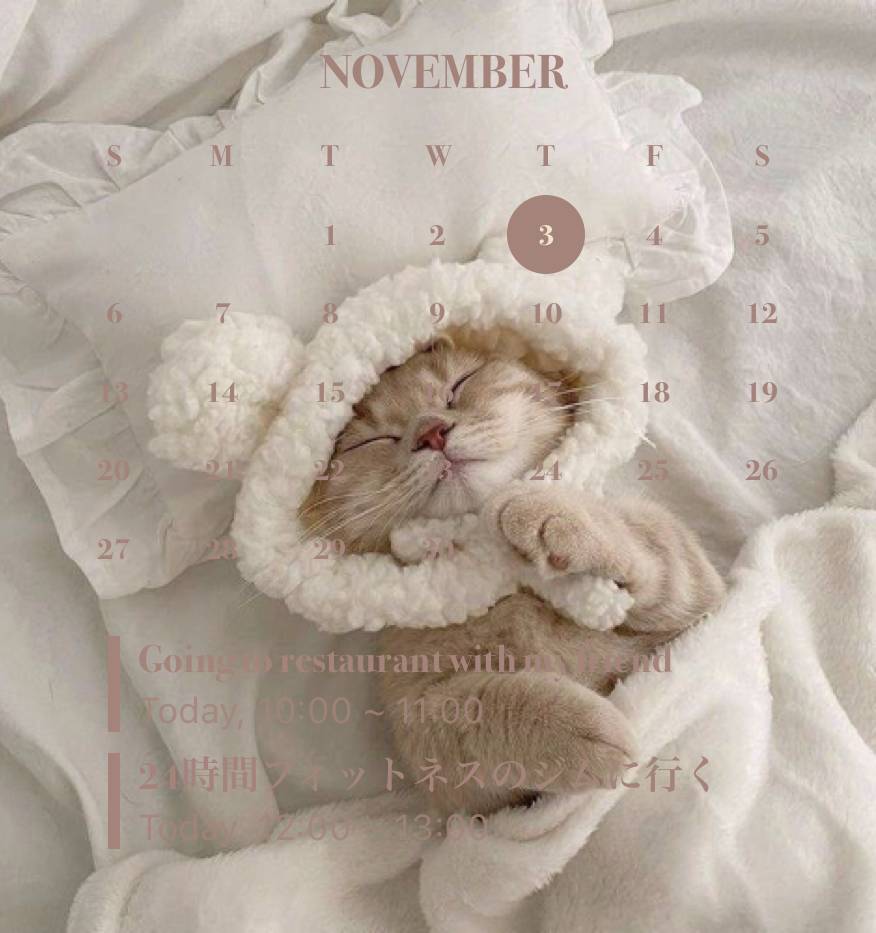 schedule Calendar Widget ideas[M6behJrIPhN4paOvP8tX]