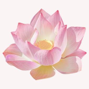 Pastel Photo Widget ideas[templates_89falwgN6zSf1fPEx4rX_12D3BAE0-FD6F-4C82-9CE3-57C64AEE0D46]