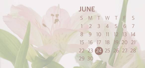 Pastel Calendar Widget ideas[templates_89falwgN6zSf1fPEx4rX_7F27B0CE-189A-407A-A77E-0A818D040831]