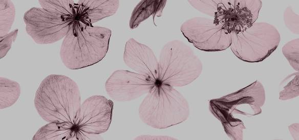 Pink Photo Widget ideas[templates_T5XsIBu3RzteVtUejezB_443F37FA-D9B3-4390-BDC3-52D4A8FDD283]