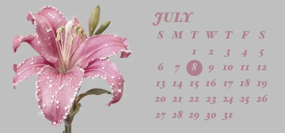 Pink Calendar Widget ideas[templates_T5XsIBu3RzteVtUejezB_A5906DDD-A336-4E4D-98A8-BECABEAD5552]