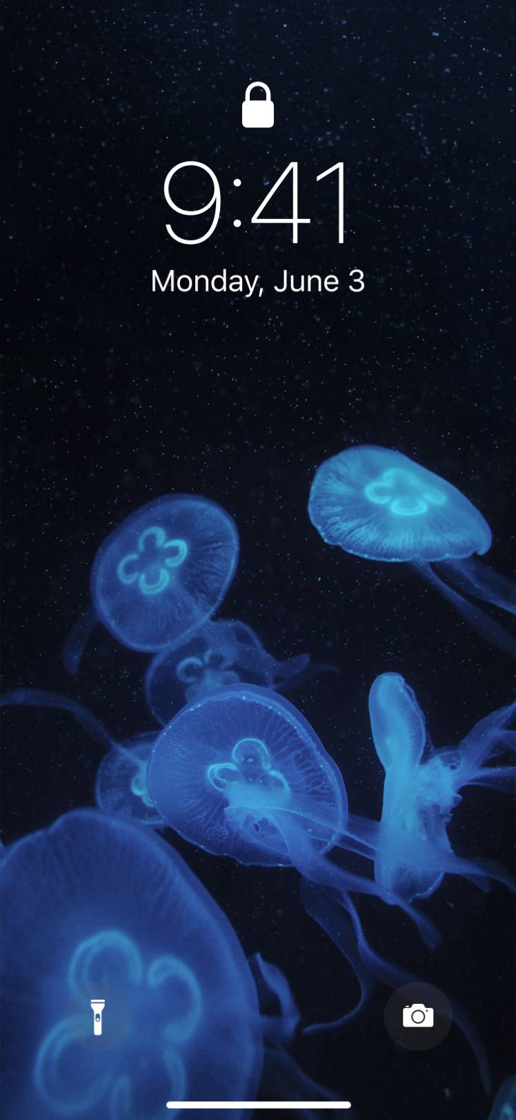 midnight jellyfishHome Screen ideas[jHMhd8vMQhOdgJUWXQDe]