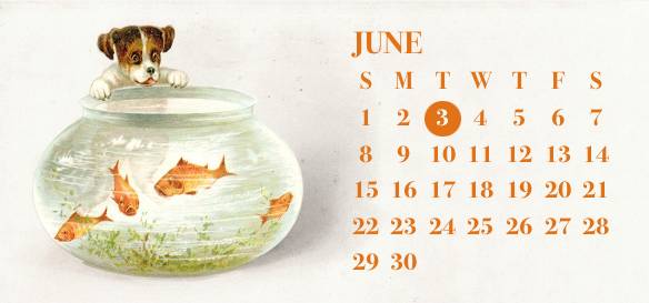 Joli Calendrier Idées de widgets[templates_YdLbbbOKCbnZHRmGhq8U_F42B9CE0-6463-45CD-B48D-4180989C7FF6]