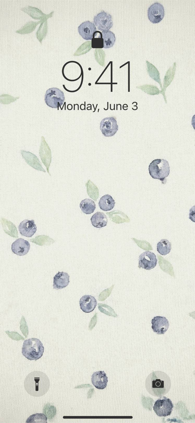 Blueberry templateHome Screen ideas[P8iXnmG5fmKlOwl98E3S]