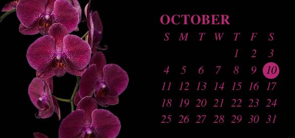 Enkel Kalender Widgetidéer[templates_zwpon85YvKNeQnD7oUNK_82AE7CB8-E2F1-4082-AF79-75107E76F4CF]