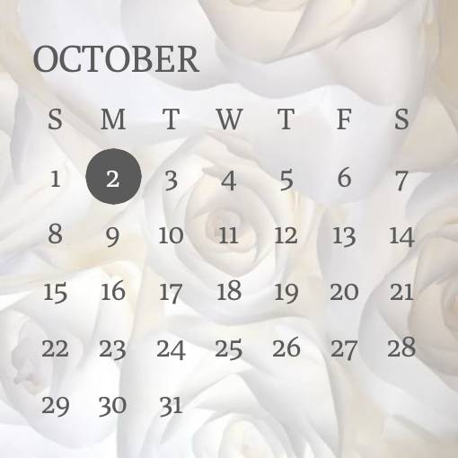 Calendar Idei de widgeturi[NbsRqLm9r9i9pueBEhxy]