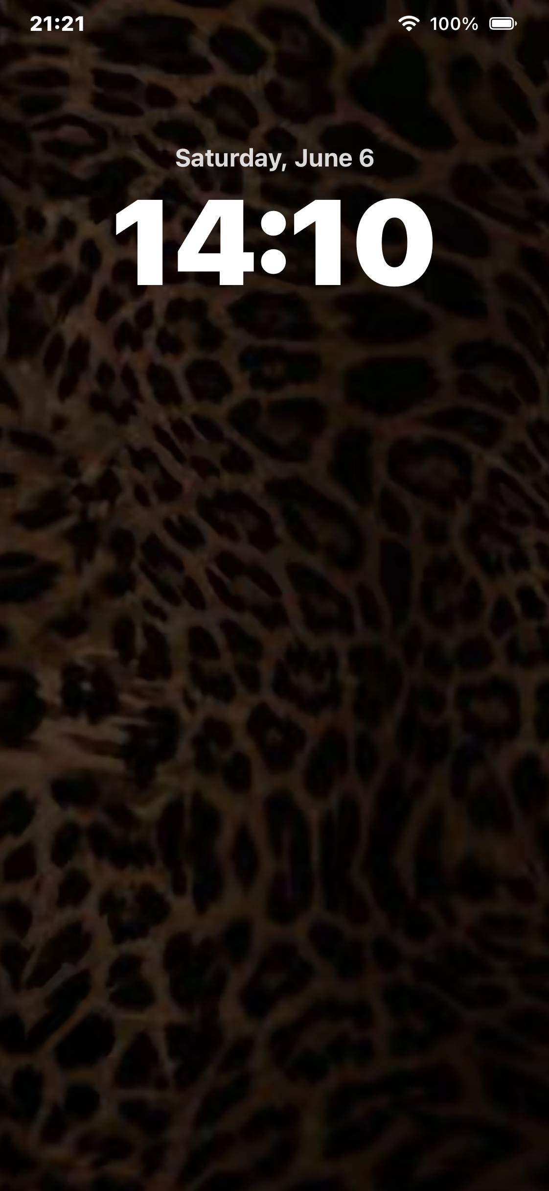 cheetah themeایده های صفحه اصلی[Rkqondm1zTLpMiGeWhBN]