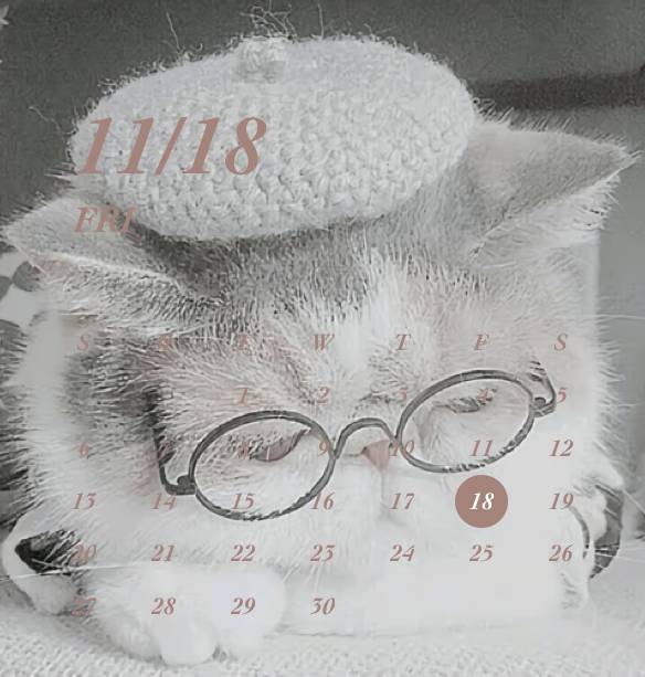 Calendario Ideas de widgets[IcAf0v27TzFywYVV7Ju8]