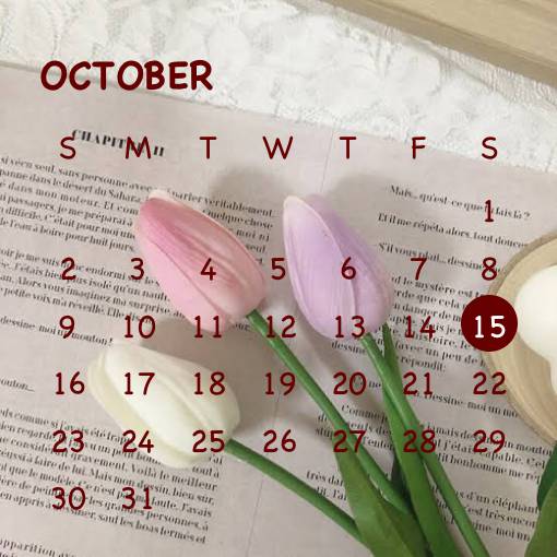 カレンダー Calendario Idee widget[6pk5b33Pq3QzOqN1LZVO]