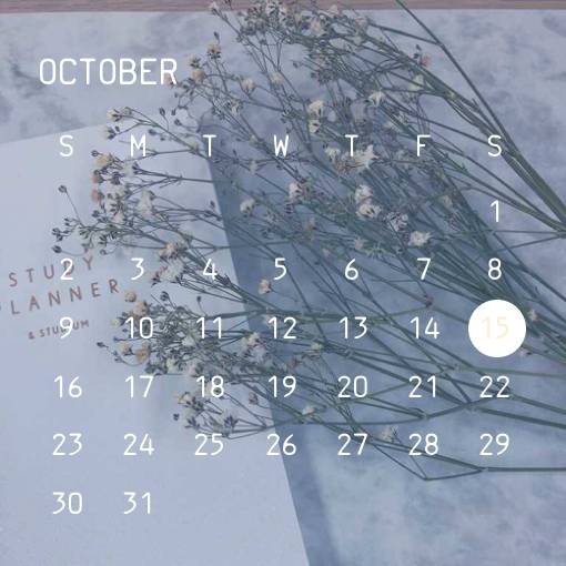 Calendar Widget ideas[ueSyAgB6DqS2wO6ss5VC]