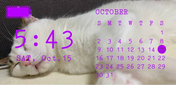 カレンダー Kalendar Idea widget[uM8vPaeJIwoC15dYK7FT]