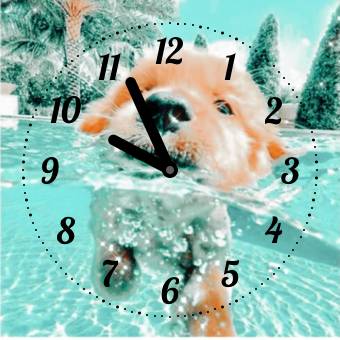 🐶犬 Clock Widget ideas[ky64934X5Gw9sC5rfNsD]