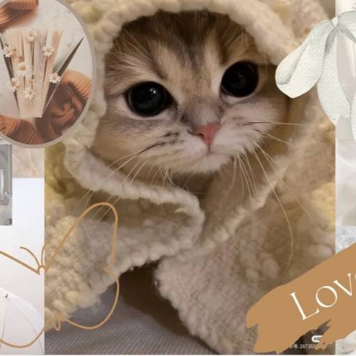 Photo Widget ideas[omsNPm1R2xXziX0sXoIy]