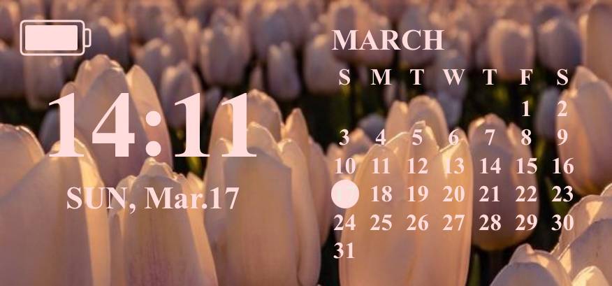 Calendar Widget ideas[omsNPm1R2xXziX0sXoIy]
