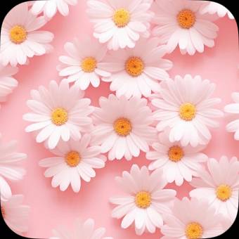 Pink Photo Widget ideas[freexhRocqAQtmAMQy5t]