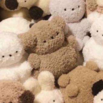 variety of different shades of brown teddy bear Фото Ідеї для віджетів[8BYAMWvcxozXyqTT55z8]