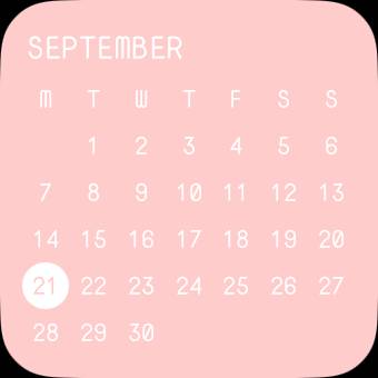 Calendar Widget ideas[VVIcdga7NLWjzL0mrwdp]