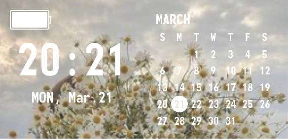  Calendar Widget ideas[7xizctqdTYNiVz7RSVjo]