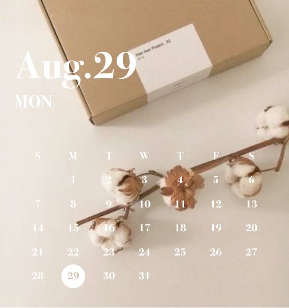 Kalendar Idea widget[oiumWK8PvRdxGGPPCnY5]