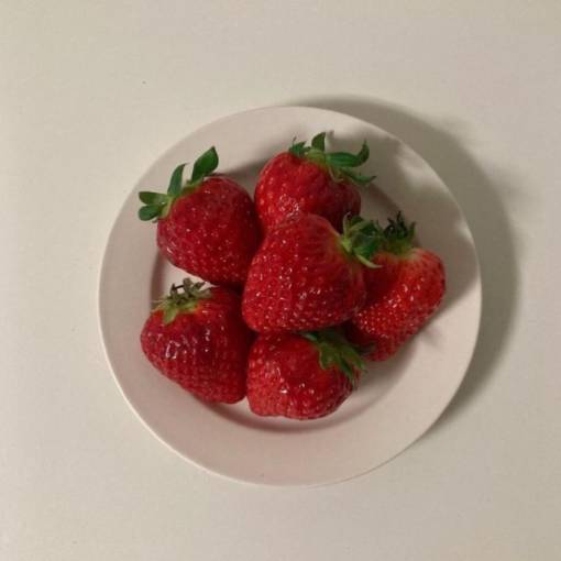 Strawberry Photo Widget ideas[BzadSjPaV7jI8HrXbN6Q]