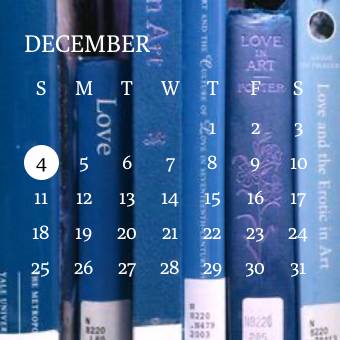 Calendario Ideas de widgets[XlC2YItilp9H4jbLIwwN]