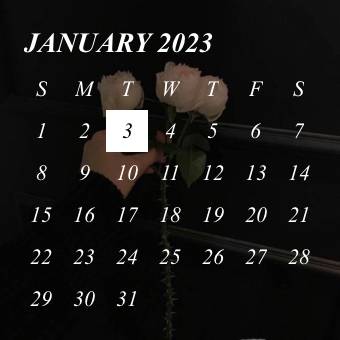 🤍✿·͜·Календар Ідеї для віджетів[f6M1JNAr6lv5pP1IuGLc]