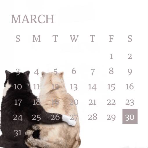 Calendrier Idées de widgets[templates_cP5nouHWJmVHFTiwgVP6_A840EC90-AB50-4067-ADD2-D3C37B7DD03F]