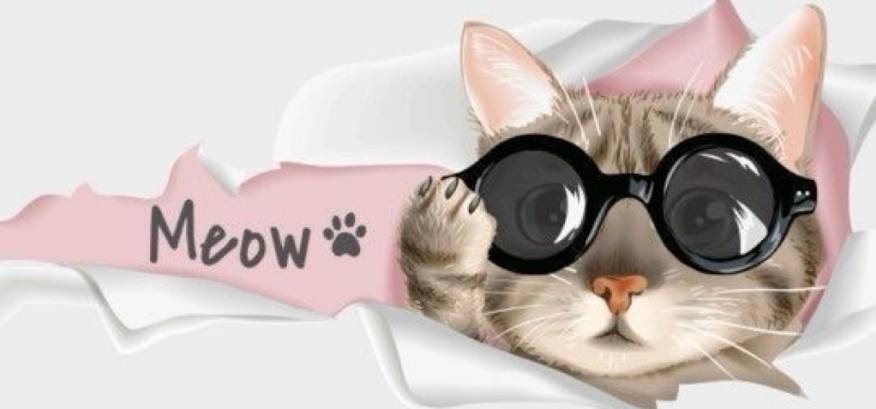 Photo Widget ideas[bdhx47Q2FrqWibS0vCeQ]