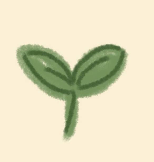 plant :) Photo Widget ideas[O0HQ4RdF2WuniVchHpYY]
