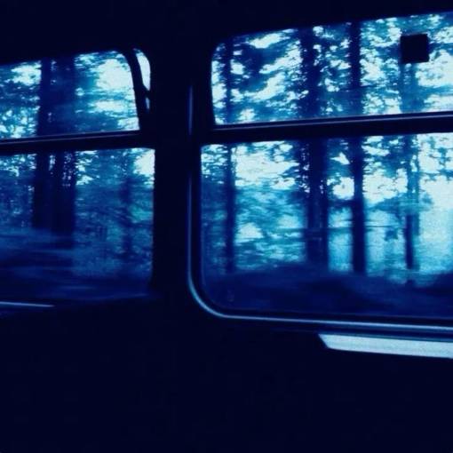 写真ウィジェット[uoqZuvCC5r9vVRAUEqWx]