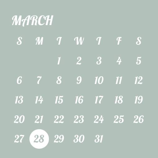 Calendar Widget ideas[plTsrSITpsESs4L2x60Q]