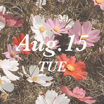 Date Widget ideas[tiu3tHXL97qrMlMcomD3]